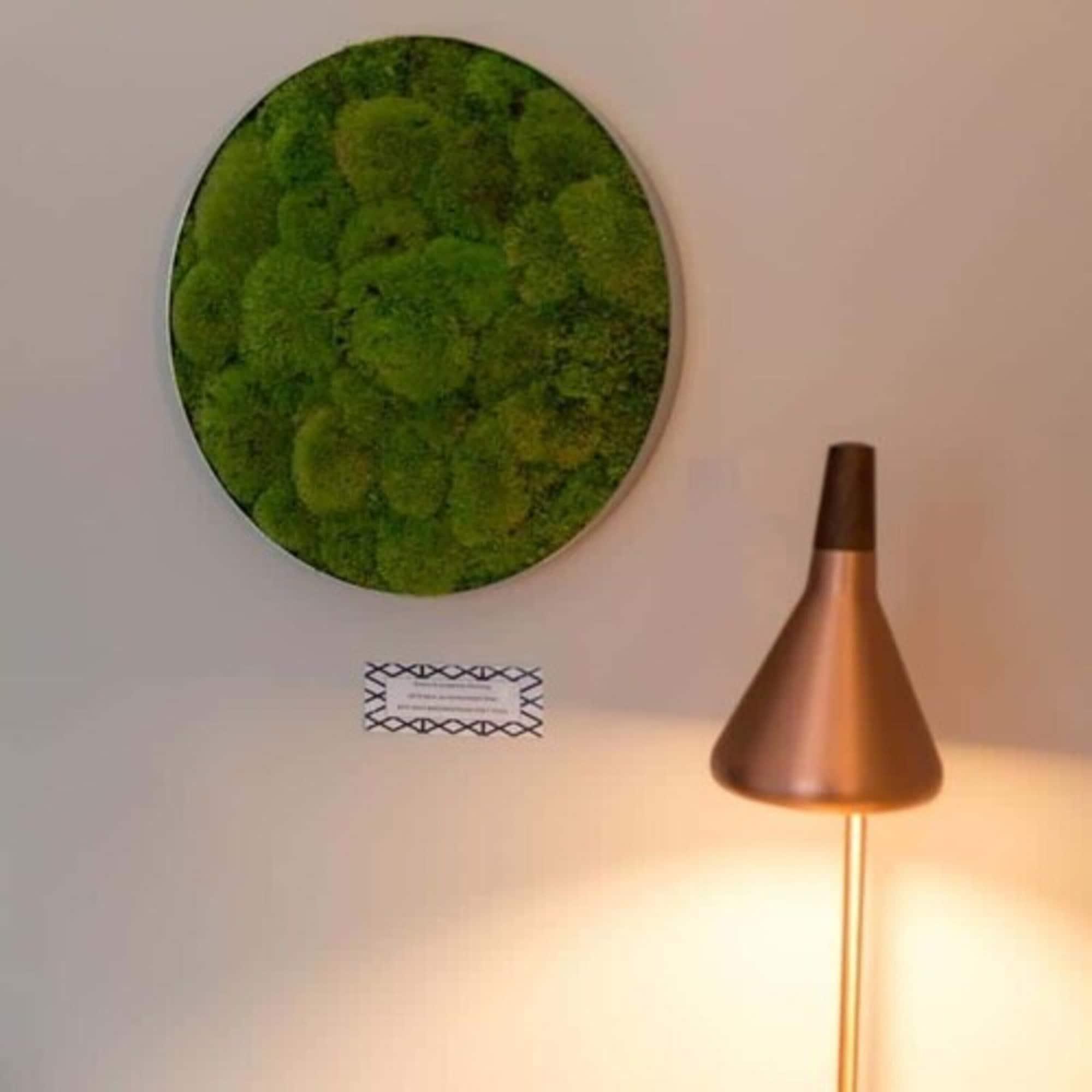 Rugs Hotel Koeln Kültér fotó